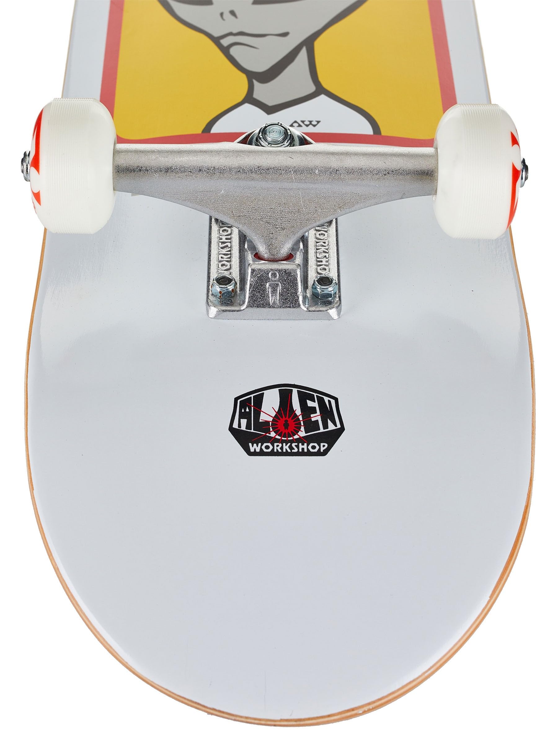 Amazon.com: Alien Workshop Skateboards Complete Believe White 8.0